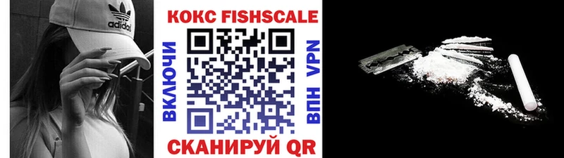 купить наркотики цена  Казань  МЕГА как войти  Кокаин Fish Scale 