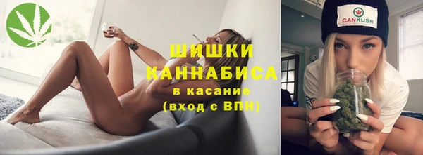 прущая мука Вяземский