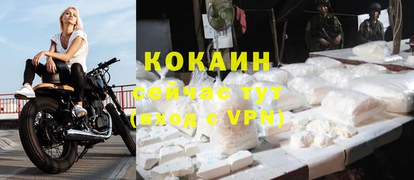 тгк Осинники