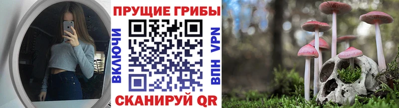 Галлюциногенные грибы прущие грибы  закладка  Казань 
