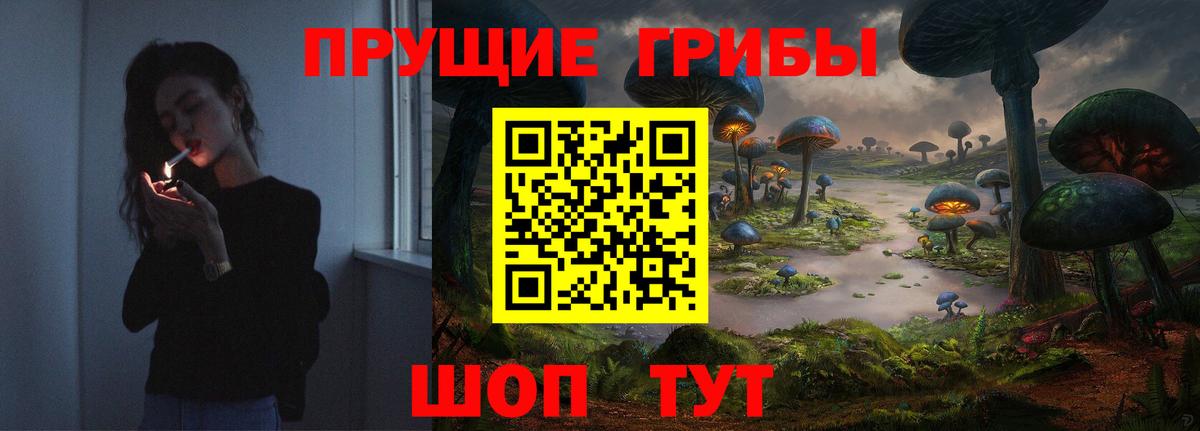 Галлюциногенные грибы прущие грибы Казань